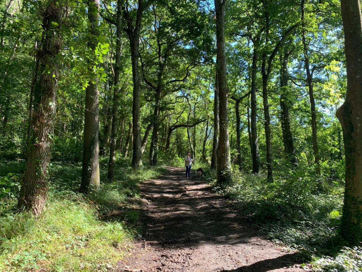 Belvedere Edge At Finlake & In Devon *